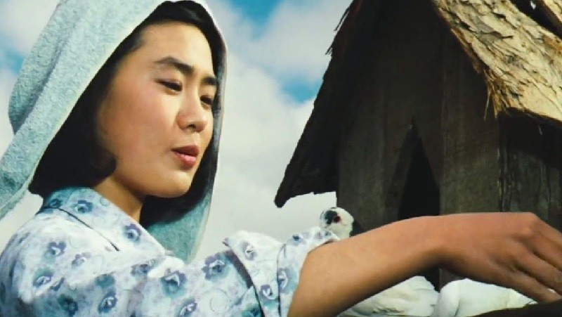 Người Chăn Ngựa - The Herdsman