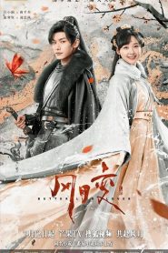 Tình Yêu Bươm Bướm