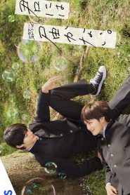 Kimi ni wa Todokanai (Live-Action)