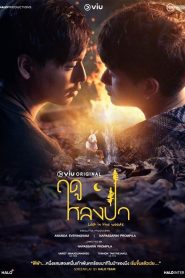 Mùa Lạc Trong Rừng